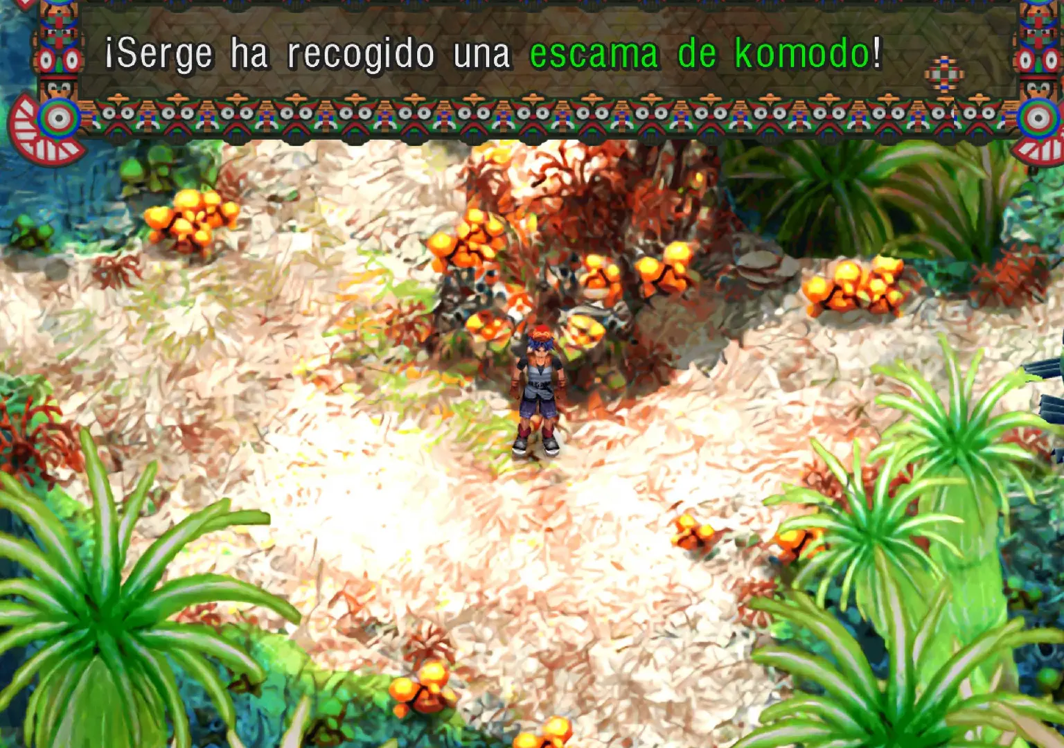 Imagen de Guia