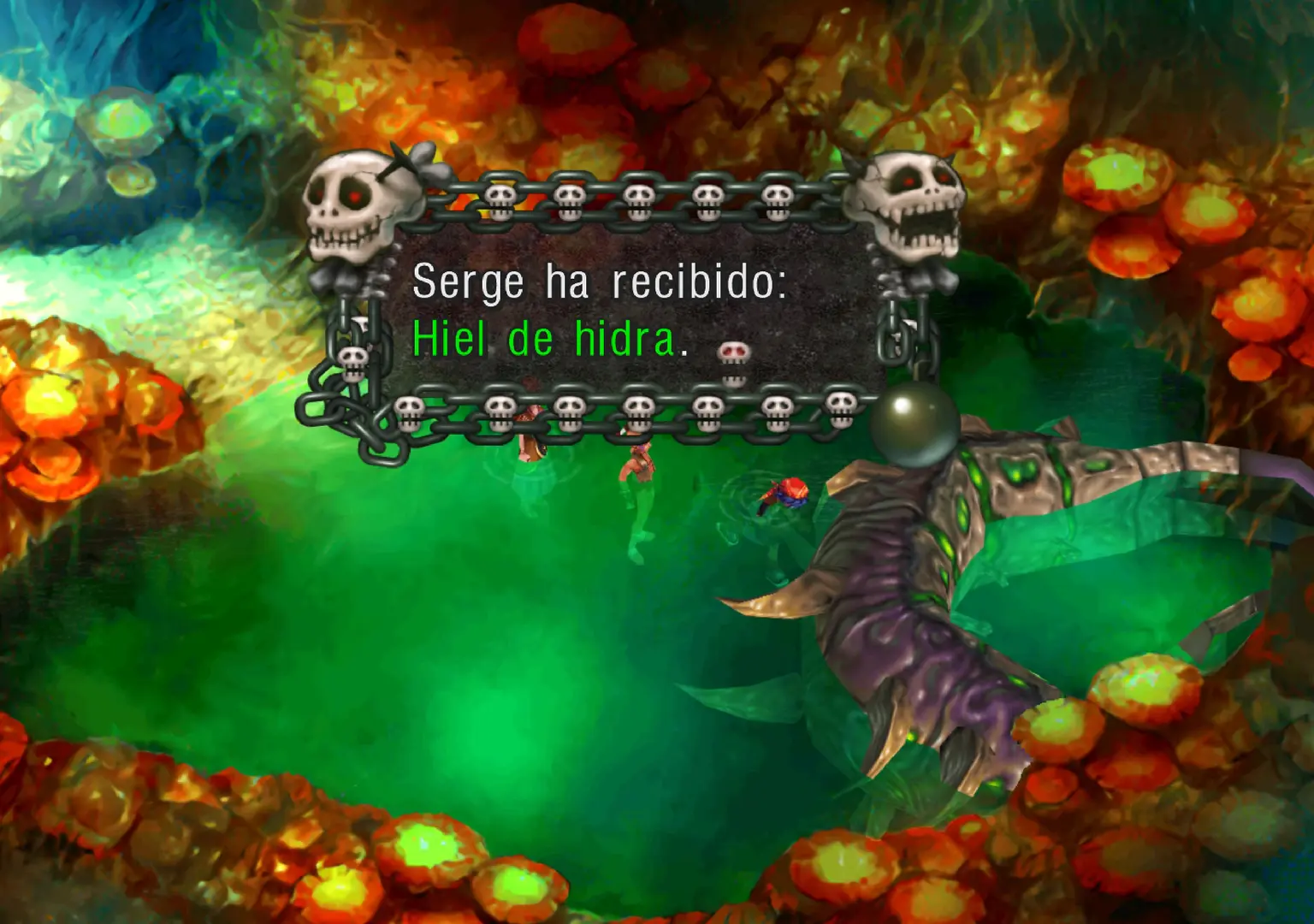 Imagen de Guia